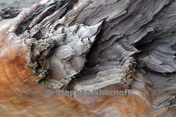 driftwood 3753 4 graphic